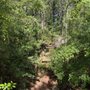 Photo of Lucedale Depot Creek Greenway