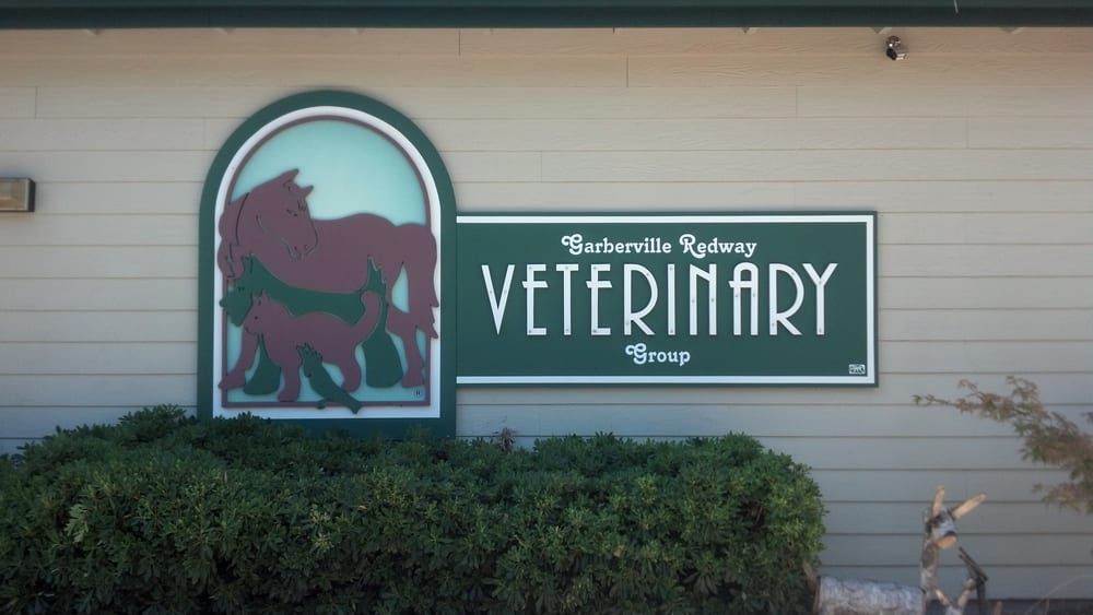 GARBERVILLE REDWAY VETERINARY GROUP Updated August 2024 16 Reviews