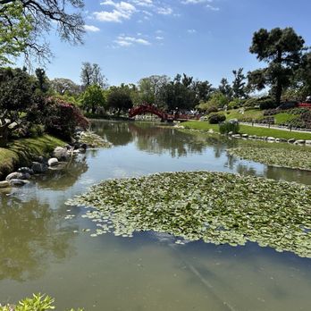 Jardín Japonés - Botanical Gardens Near Me - Buenos Aires, C Jardín Japonés - Botanical Gardens Near Me - Buenos Aires, C