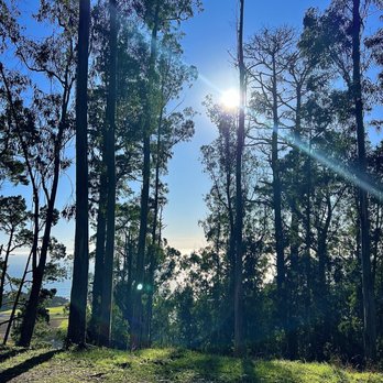 Quarry Park - Parks Near Me - El Granada, California