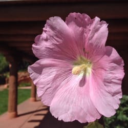 Bear Creek Canyon Park - @bigmovie // Bear Creek Canyon Park