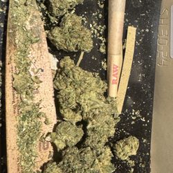 The Grass Station - Sherbanger flower on rolling tray, raw cones in background.