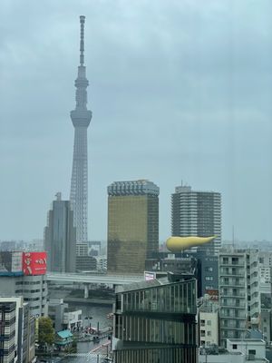 THE GATE HOTEL Kaminarimon by HULIC by null