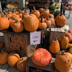 Whole Foods Market