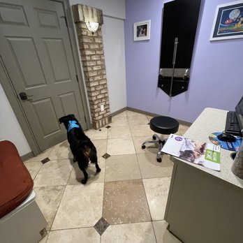 Roswell Vets 4 Pets - Veterinarians Near Me - Roswell, Georgia Roswell Vets 4 Pets - Veterinarians Near Me - Roswell, Georgia