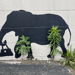 Elephant Mural