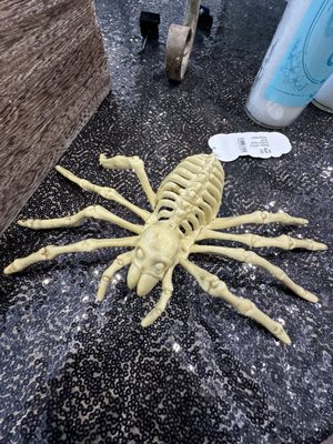 Fleurty Girl French Quarter by null