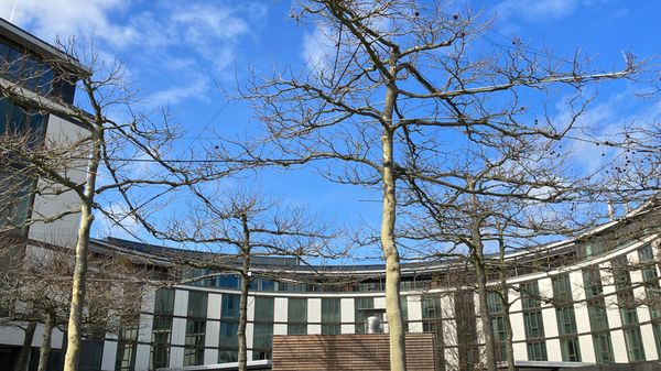 The Ritz-Carlton, Wolfsburg by null