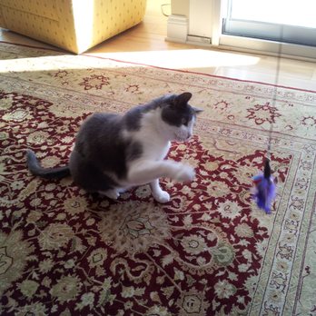 Paws Away Pet Sitting - Pet Sitting Near Me - Mount Horeb, Wisconsin