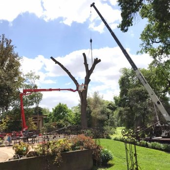 Norcal Arborists - Tree Services Near Me Norcal Arborists - Tree Services Near Me