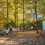 Photo of The Gators Bike Park