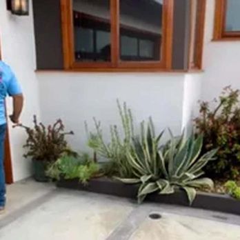 Termite Team Company - Pest Control Near Me - Van Nuys, California Termite Team Company - Pest Control Near Me - Van Nuys, California