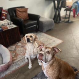 Hank and his best friend Olive! Hank and his best friend Olive!