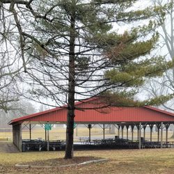 Shields Park - Shelter
