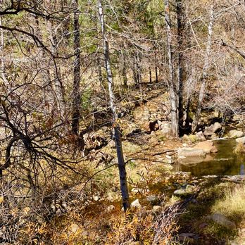 Horton Creek Trail - Hiking Near Me