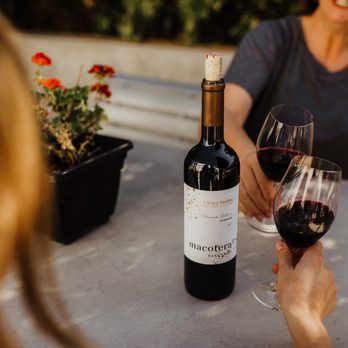 Langetwins - Guests enjoying a bottle of wine on the patio. - Wineries Near Me - Acampo, California