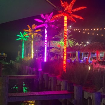 De Lazy Lizard - palm trees lit up at night - American Near Me - Ocean City, Maryland