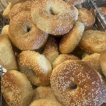 Bagel Oasis - Bagels Near Me - Seattle, Washington