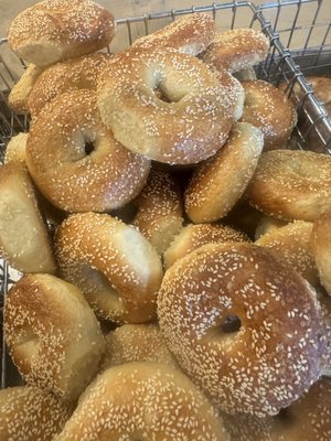 Bagel Oasis by null