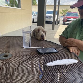 Mama's Pizza - Hayden the doodle - Pizza Near Me - Williamston, North Carolina Mama's Pizza - Hayden the doodle - Pizza Near Me - Williamston, North Carolina