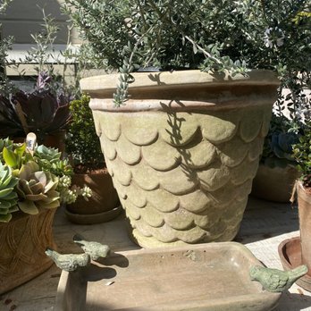 Botanik - Bird bath - Home Decor Near Me - Summerland, California