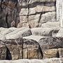 Tierpark Hagenbeck