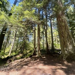Camp Creek Campground