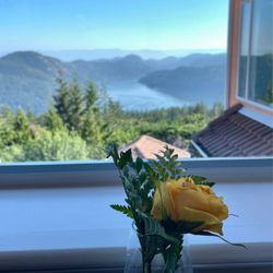 Table view of the Saanich inlet