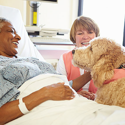 Compassionate Care Hospice, an Amedisys Company