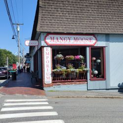 Mangy Moose
