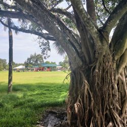 Reflections Park