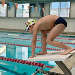 Saratoga Star Aquatics