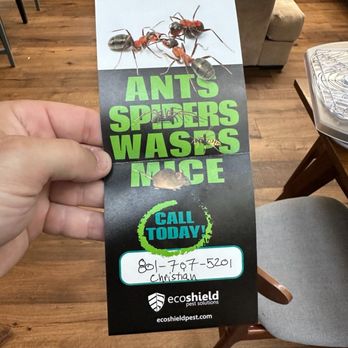 EcoShield Pest Solutions - This is the door hanger Christian dropped off, right before he harassed a small child, trying to convince him to open the door. - Pest Control Near Me - Tukwila, Washington EcoShield Pest Solutions - This is the door hanger Christian dropped off, right before he harassed a small child, trying to convince him to open the door. - Pest Control Near Me - Tukwila, Washington
