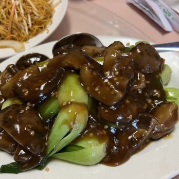 Best Hong Kong Dining - Mushroom and vegetable - Chinese Near Me - Mesa, Arizona Best Hong Kong Dining - Mushroom and vegetable - Chinese Near Me - Mesa, Arizona