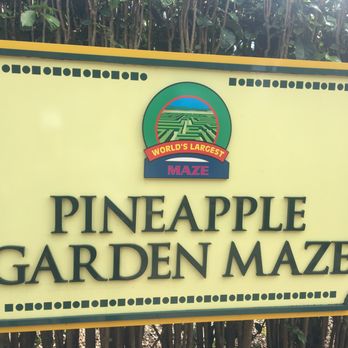 Dole Pineapple Garden Maze - Worlds Largest Outdoor Maze - Botanical Gardens Near Me - Wahiawa, Hawaii Dole Pineapple Garden Maze - Worlds Largest Outdoor Maze - Botanical Gardens Near Me - Wahiawa, Hawaii