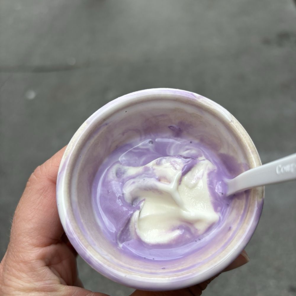 Hellenika Cultured Creamery - Plain Greek and Ube Coconut - Ice Cream & Frozen Yogurt Near Me - Seattle, Washington