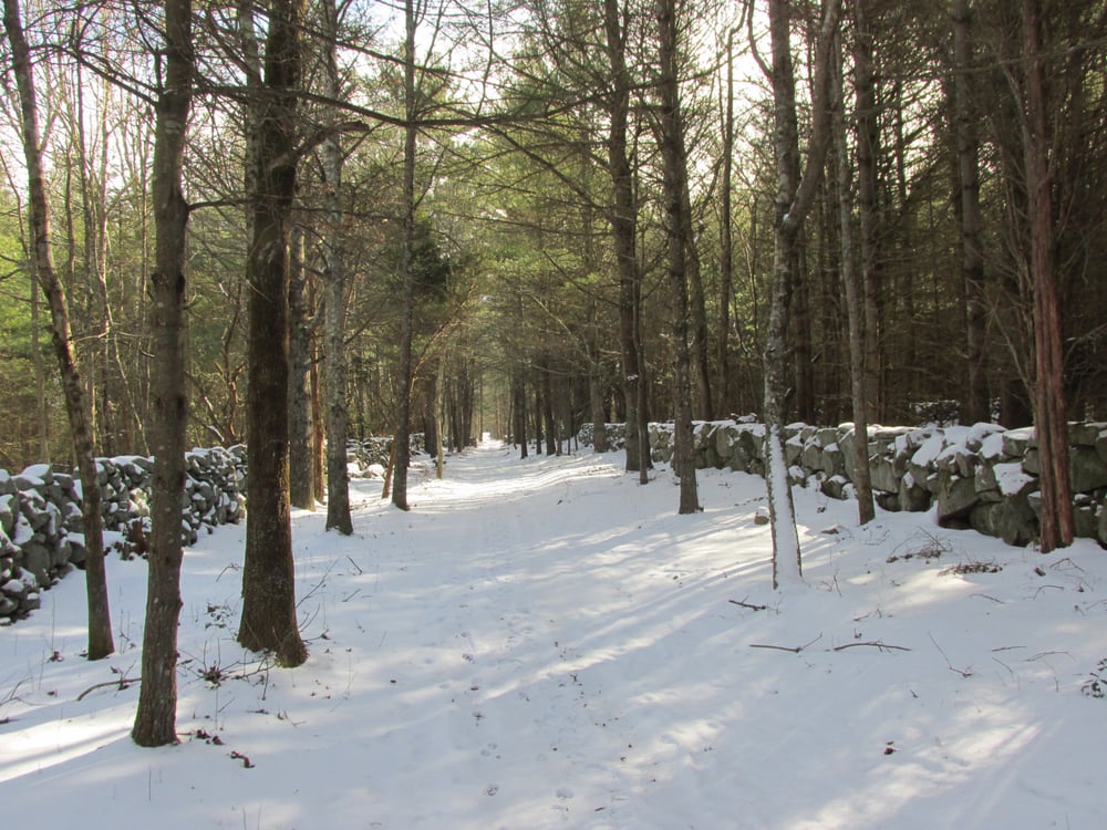 COPICUT WOODS Updated October 2024 26 Photos Indian Town Rd