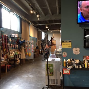 Downtown Hound - Pet Sitting Near Me - Omaha, Nebraska