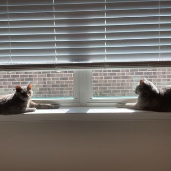 Blinds By Jason - Shutters Near Me Blinds By Jason - Shutters Near Me