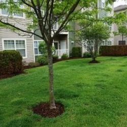 Top Hill Landscaping