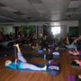 Photo of Let the Yin Begin