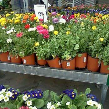 Lowe's Home Improvement - Nurseries & Gardening Near Me - Las Vegas, Nevada Lowe's Home Improvement - Nurseries & Gardening Near Me - Las Vegas, Nevada