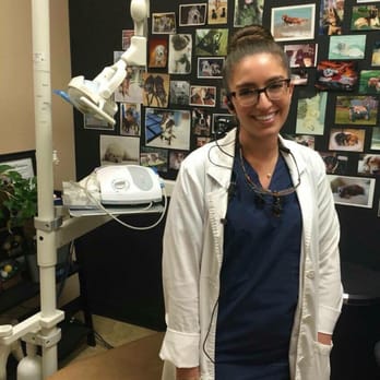 Northwestern Dental Group - Gurnee - Dr. Khoury in front of Sue's beautiful wall of pets! - General Dentistry Near Me - Gurnee, Illinois Northwestern Dental Group - Gurnee - Dr. Khoury in front of Sue's beautiful wall of pets! - General Dentistry Near Me - Gurnee, Illinois