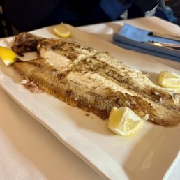 Dover Sole Dover Sole