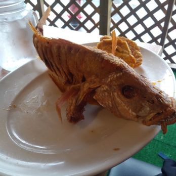 Noches de Colombia - Whole snapper. Salad is on another plate - Colombian Near Me - Jersey City, New Jersey