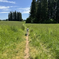 Lucky Memorial Off-leash Park