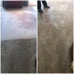 IKleen Karpet Plus - Before and After