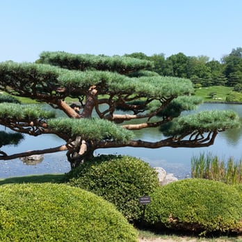 Chicago Botanic Garden - Love it - Botanical Gardens Near Me - Glencoe, Illinois