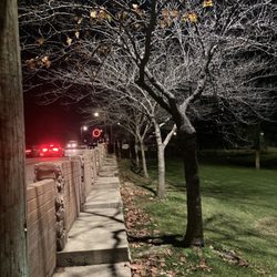 Pioneer Park