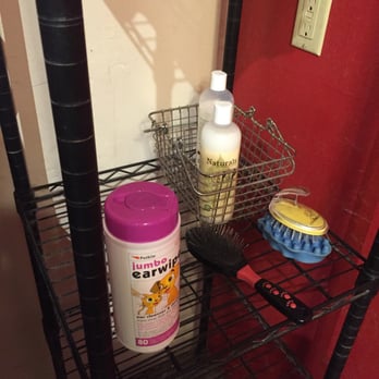Dirty Dawgs Pet Care - Ear wipes, several types of brushes, and part of the product selection. - Pet Groomers Near Me - Tucson, Arizona